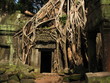 Le Temple Ta Prohm