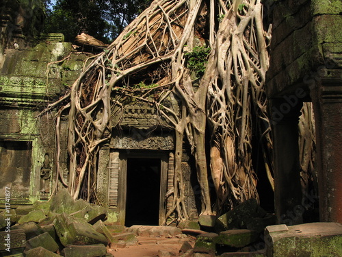 Le Temple Ta Prohm