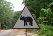 Panneau de signalisation : Attention Elephant