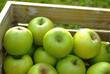 Foto: Äpfel in Holzbox Äpfel in Holzbox