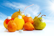 Juicy Fruits