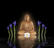 Buddha in Zen Garden