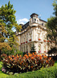 Palace Among The Garden
