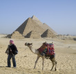 Photo en ligne au meilleur prix Pyramids Tourist