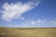 Arable land waiting to be sowed