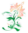 pink-orange flower