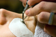 Beauty Operations