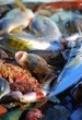 Poissons
