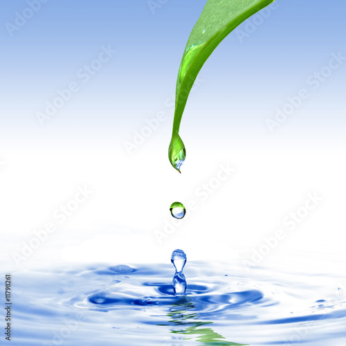 water drop. green leaf with water drop ans