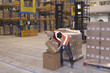Photo: Warehouse worker packing boxes Warehouse worker packing boxes