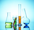 chemistry laboratory equipment, test tubes