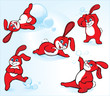 Animal Rabbit