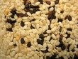 Sesamo