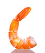 Fresh shrimps.