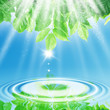green leaves