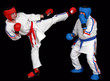 karate contact rouge bleu competition kimono coup de pied karate contact rouge bleu competition kimono coup de pied