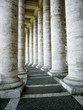 columns of st. peter, rome columns of st. peter, rome