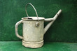 watering can on green watering can on green