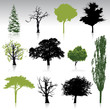 Tree silhouettes collection for your design
