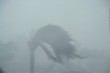 Dangerous 100 MPH+ Storm Winds and Rain Dangerous 100 MPH+ Storm Winds and Rain