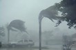 Video: 100 MPH Hurricane Winds and Rain 100 MPH Hurricane Winds and Rain