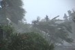 Hurricane Winds and Rain Hurricane Winds and Rain