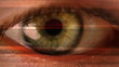 marco close-up shot of eye