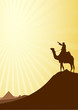 Desert and Camel