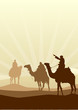 Desert and Camel