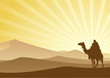 Desert and Camel