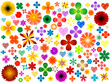 Flower design