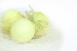 Osternest 4