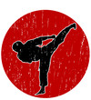 Vector Karate logo
