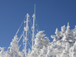 Telecommunications