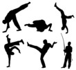Brazil Capoeira Silhouette Brazil Capoeira Silhouette