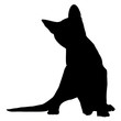 chat joueur