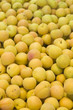 Apricots