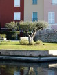 olivier port grimaud 2501092059 olivier port grimaud 2501092059