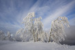 Explosion of clouds on time of winter dream Explosion of clouds on time of winter dream