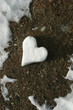 Heart made of snow on thawed