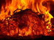 fire flames