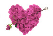 Pink Heart