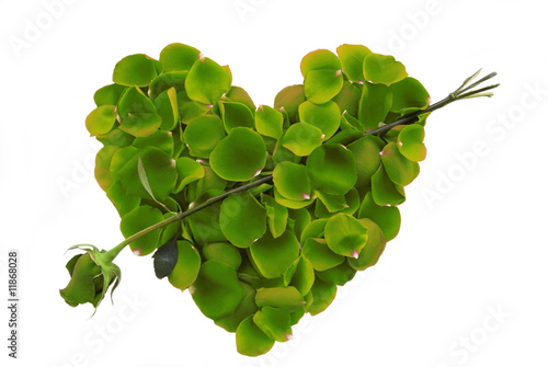 Green Rose Petal Heart with arrow