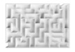 Laboratory labyrinth