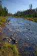 Gardner River at Sheepeater Cliff