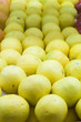 Grapefruit