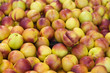 Nectarines