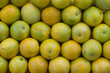 Oranges