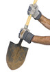 Working Hands