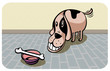dog dog